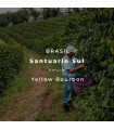 Santuario Sul / Yellow Bourbon / Natural