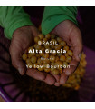 Alta Gracia / Yellow Bourbon / Natural