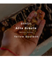 Alta Gracia / Yellow Bourbon / Honey Yellow