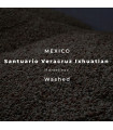 Santuario Veracruz Ixhuatlan / Marsellesa / Washed