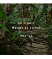 Meseta Selection Cauca / Caturra-Castillo - Washed
