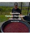 Campo Hermoso / Yellow Bourbon / Red Fruits CM