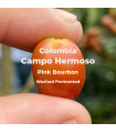 Campo Hermoso / Pink Bourbon / Washed Fermented