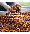 Campo Hermoso / Pink Bourbon / ALE Carbonic Maceration